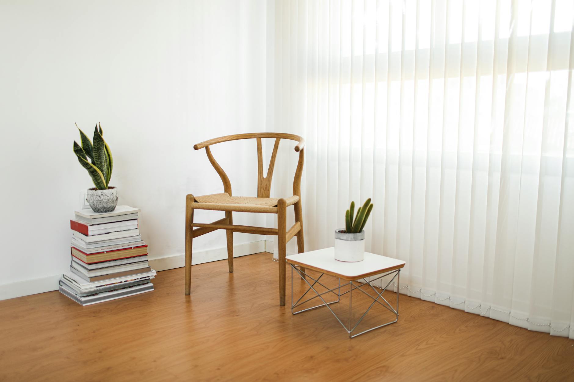 zen interior design natural light plants