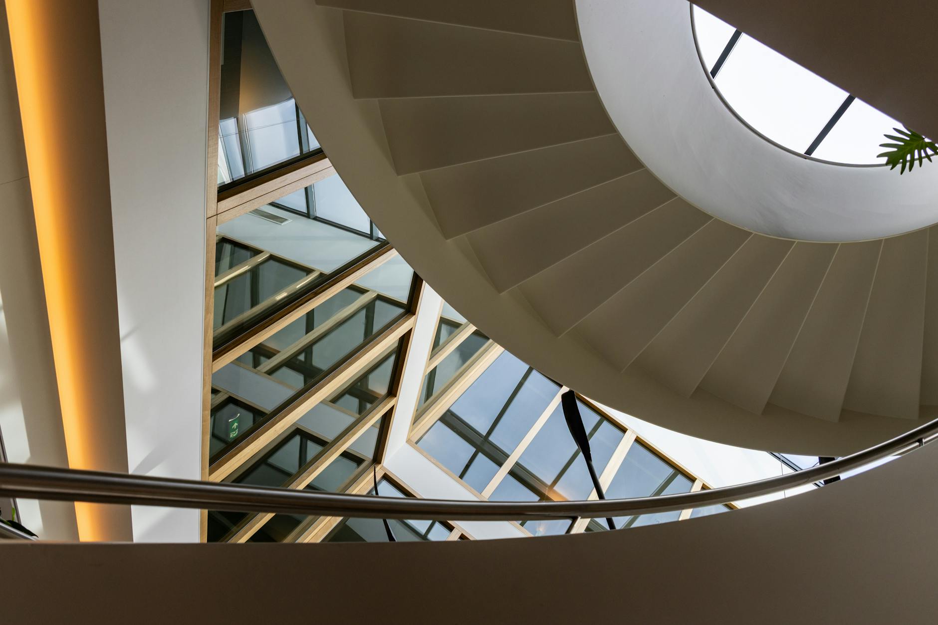 scenic view from a staircase in nature