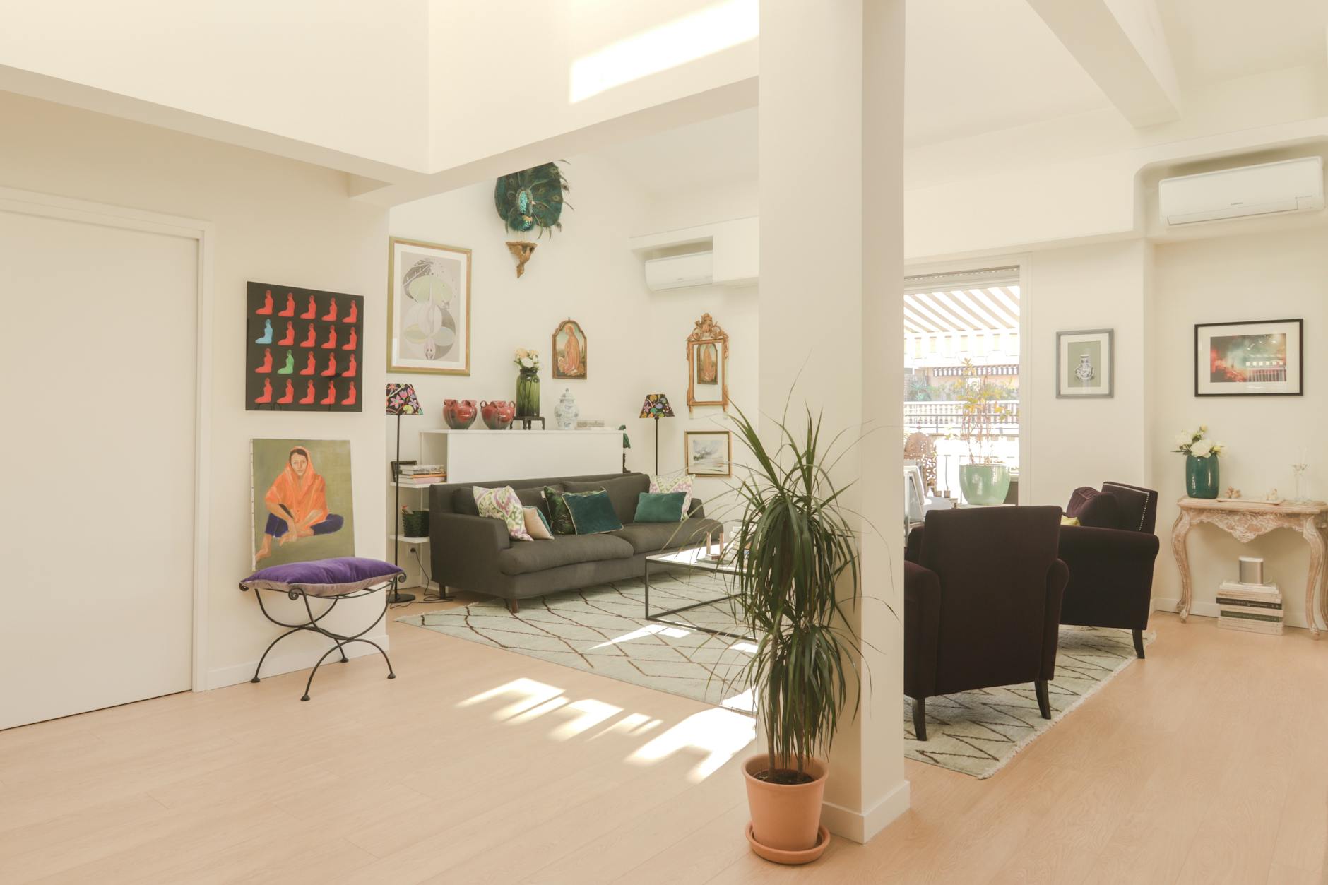 indoor plants for stylish living room