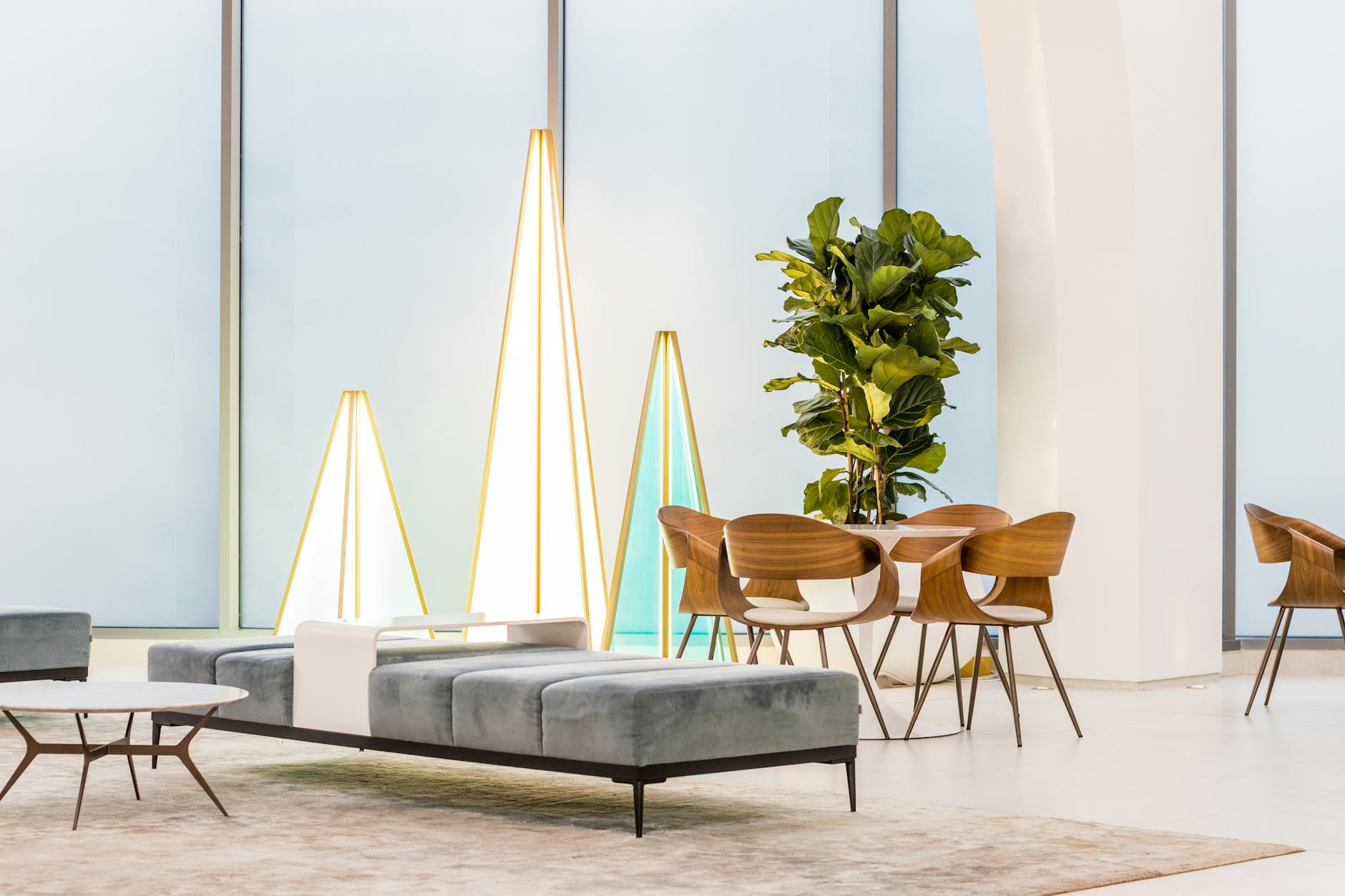 indoor plants in clean aesthetic living room