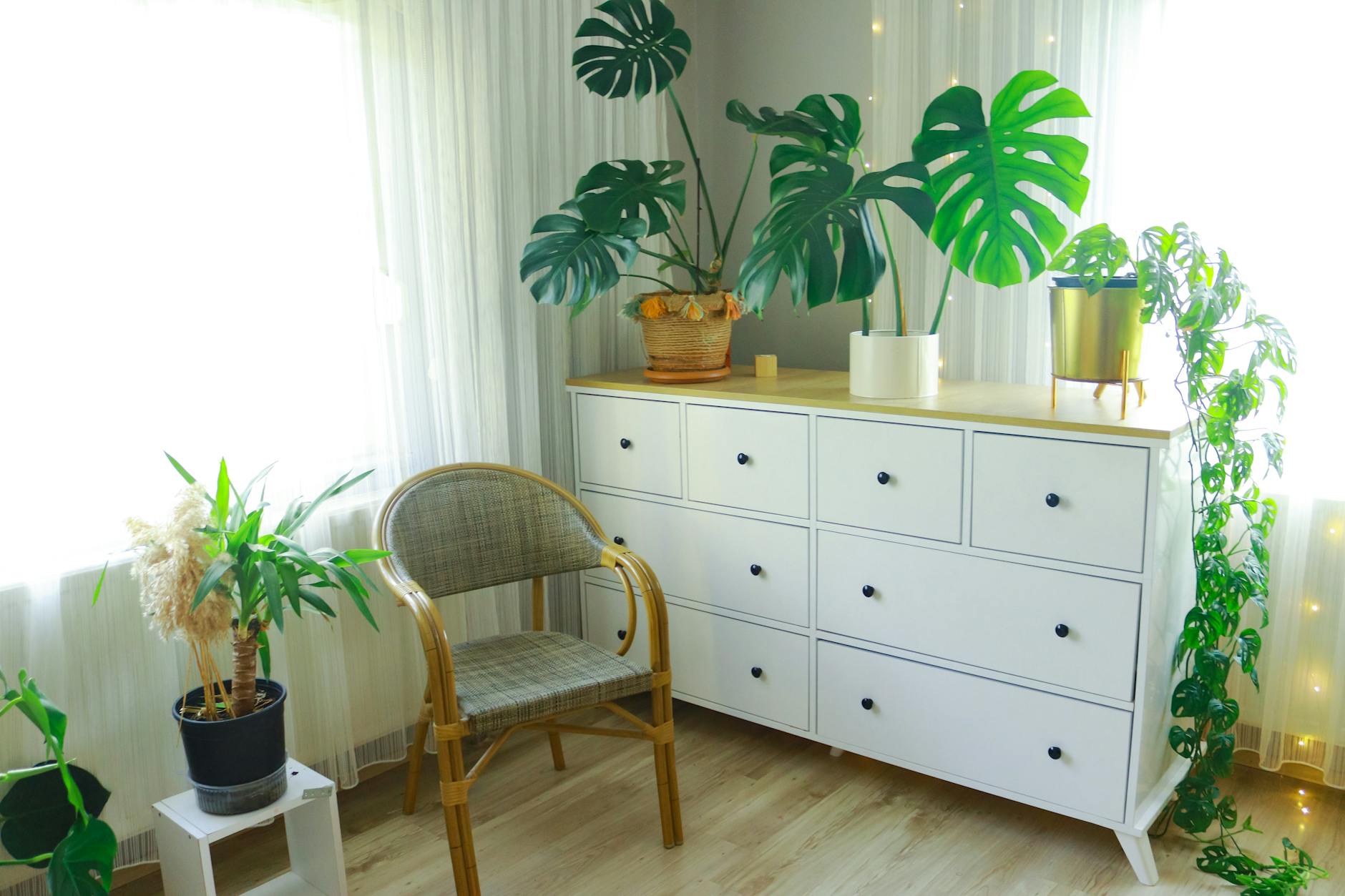 modern organic living room design with plants and natural materials