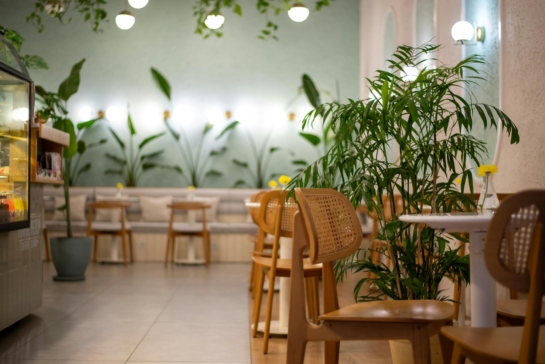 cozy café atmosphere with plants and vintage decor