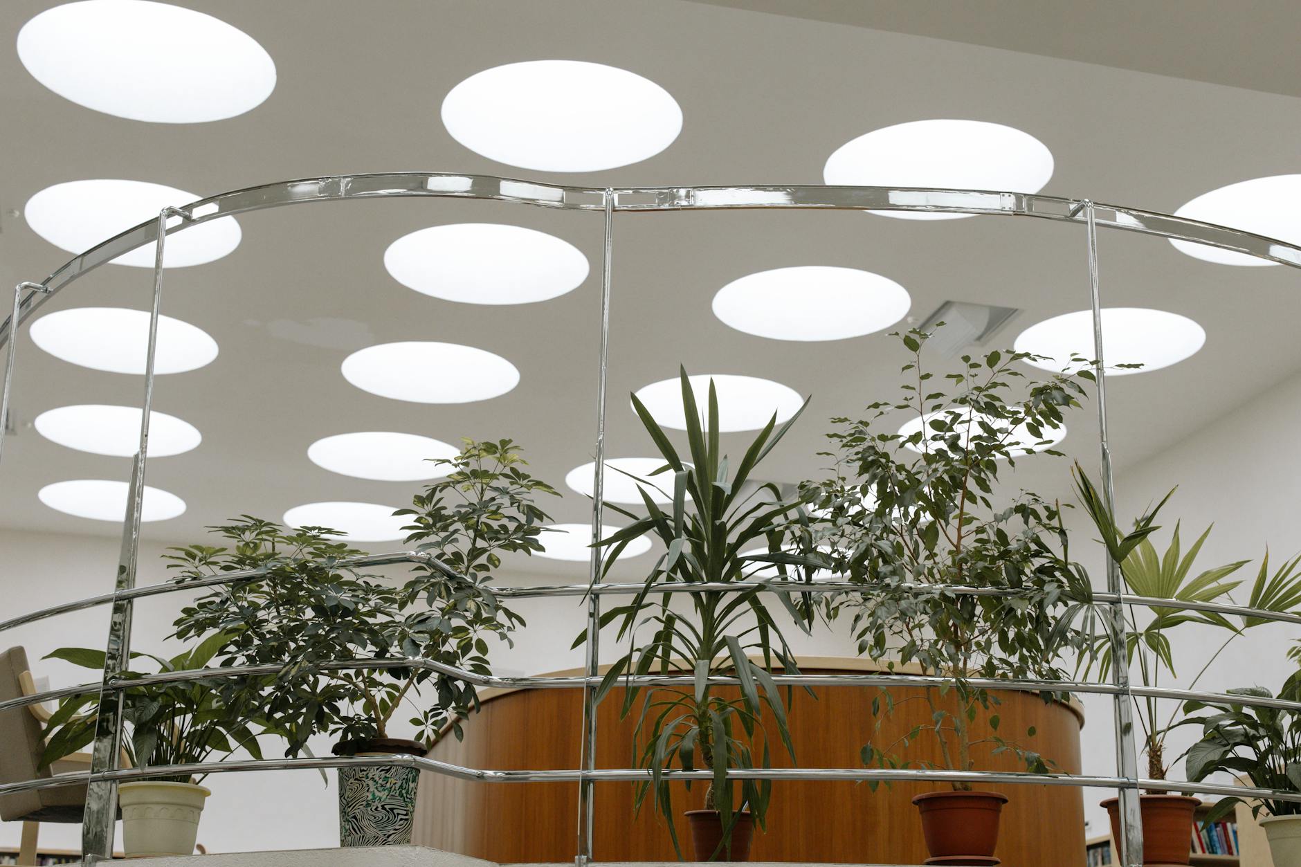 biophilic design interior space with plants and natural light