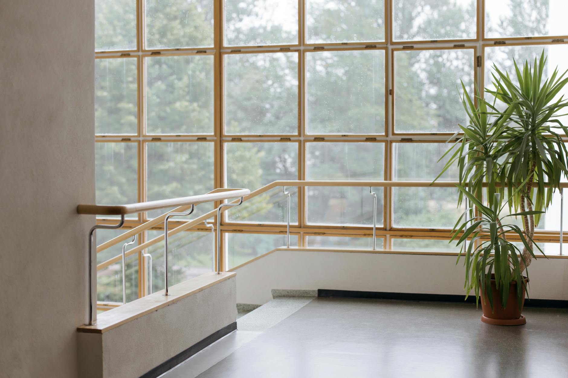 cleaning solution for windows