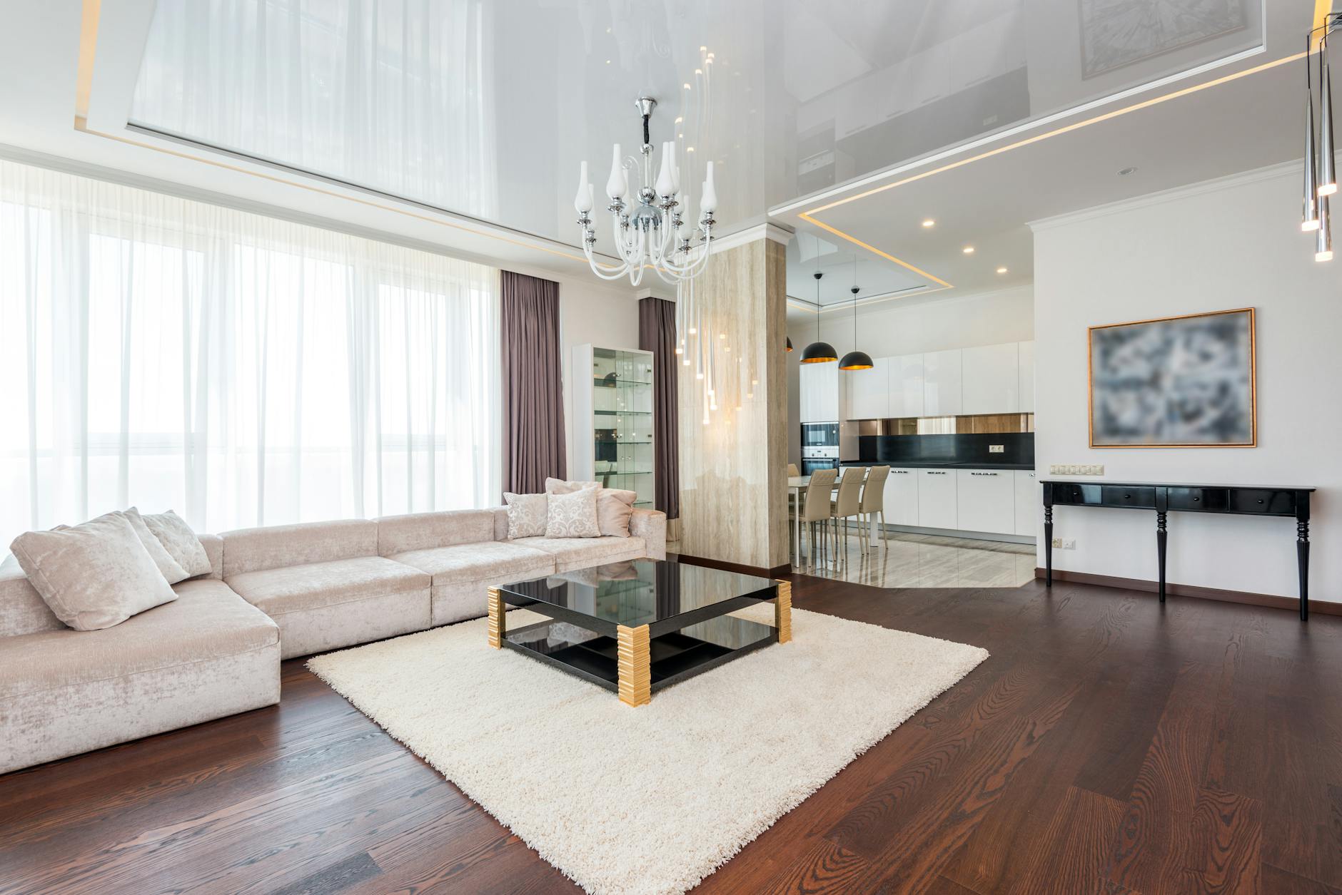 luxury apartment open floor plan