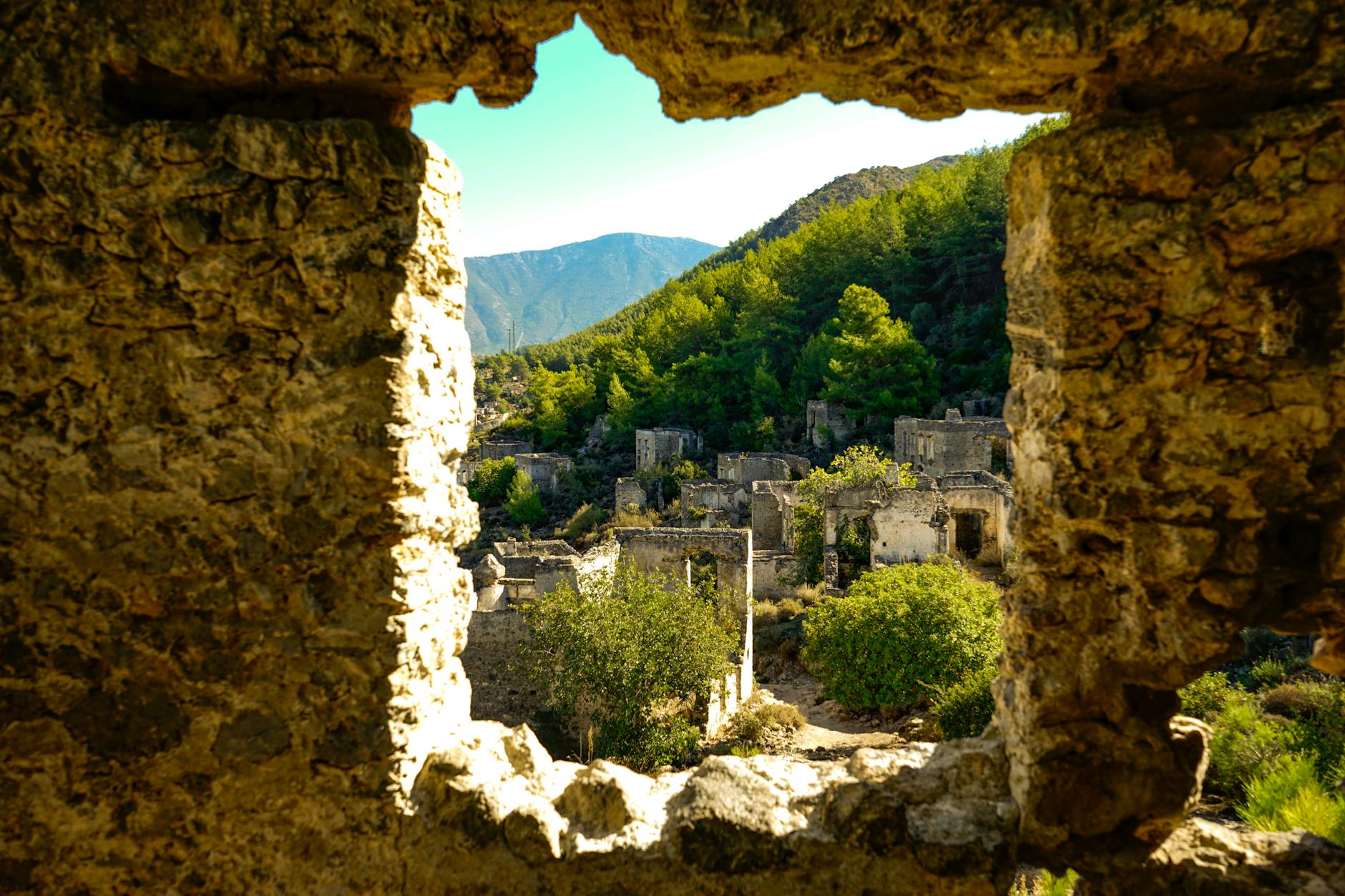 abandoned town landscape with trees
