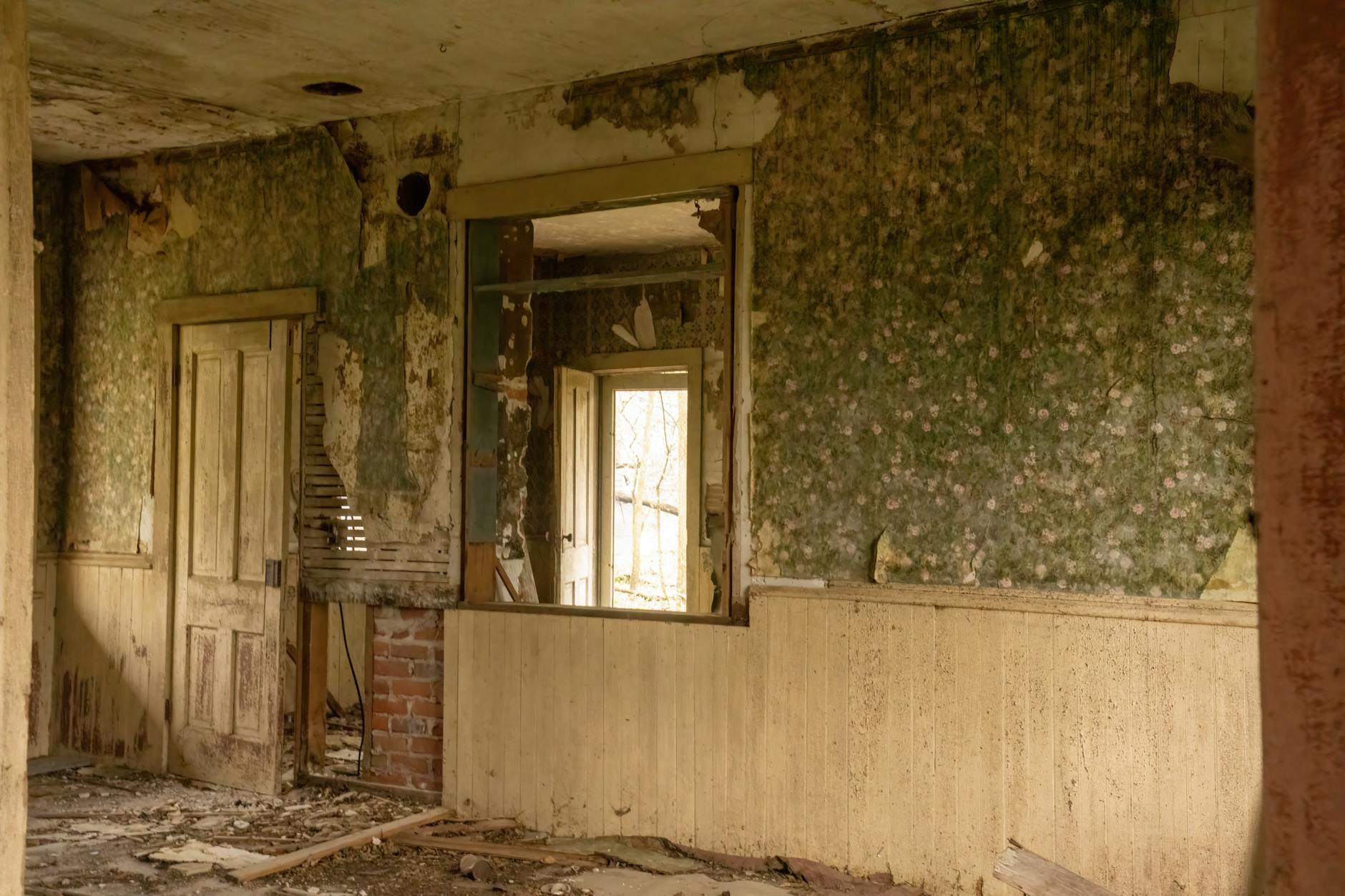 close-up of peeling wallpaper in an abandoned house