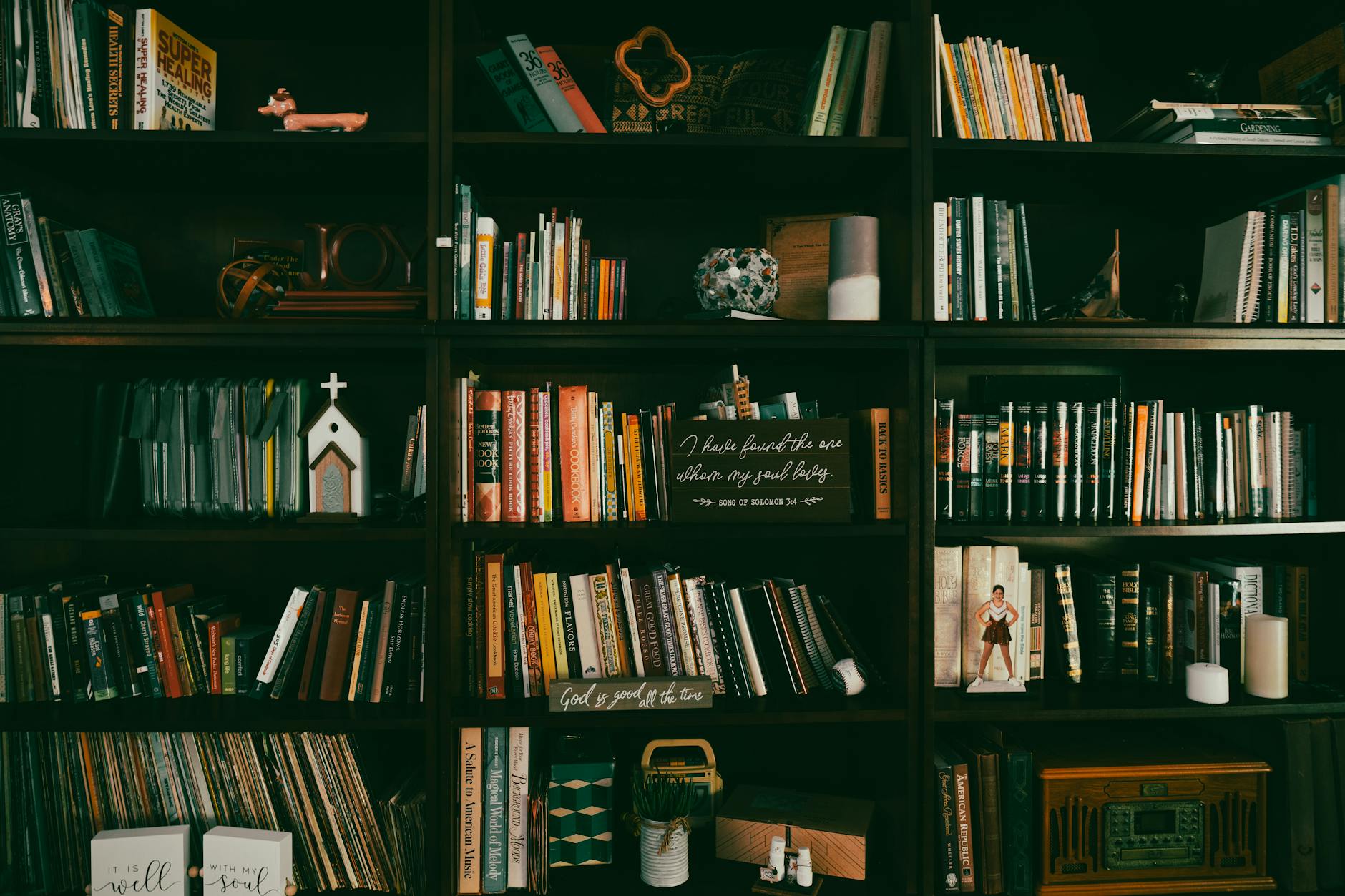 shelves styled with books, plants, and decorative items