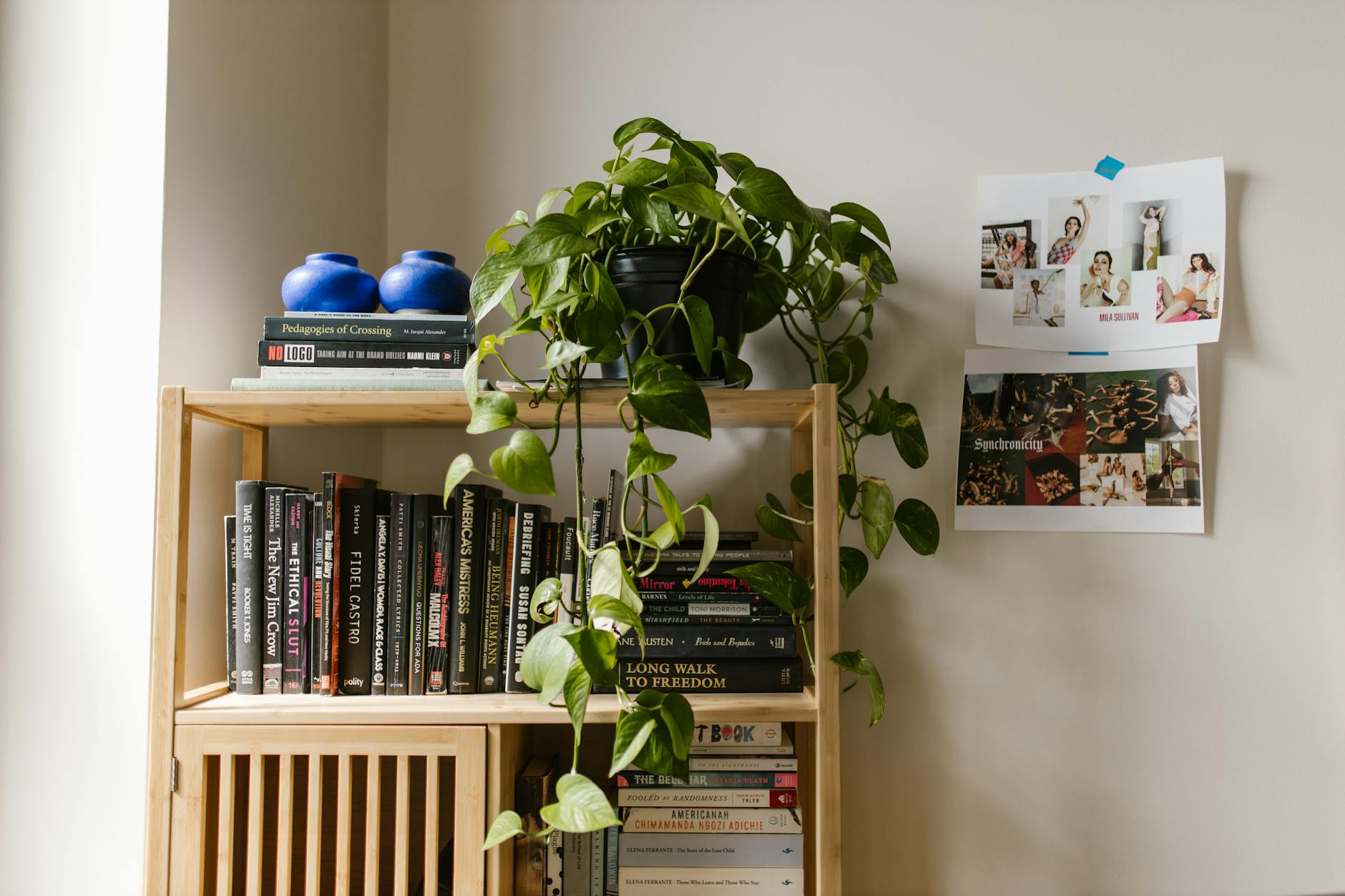 beautifully designed shelving unit with plants and books