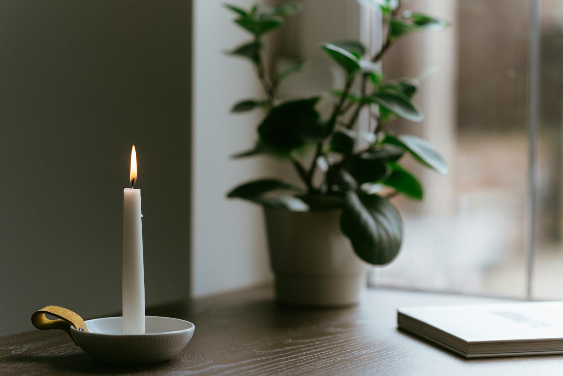 fresh home interior with plants and candles