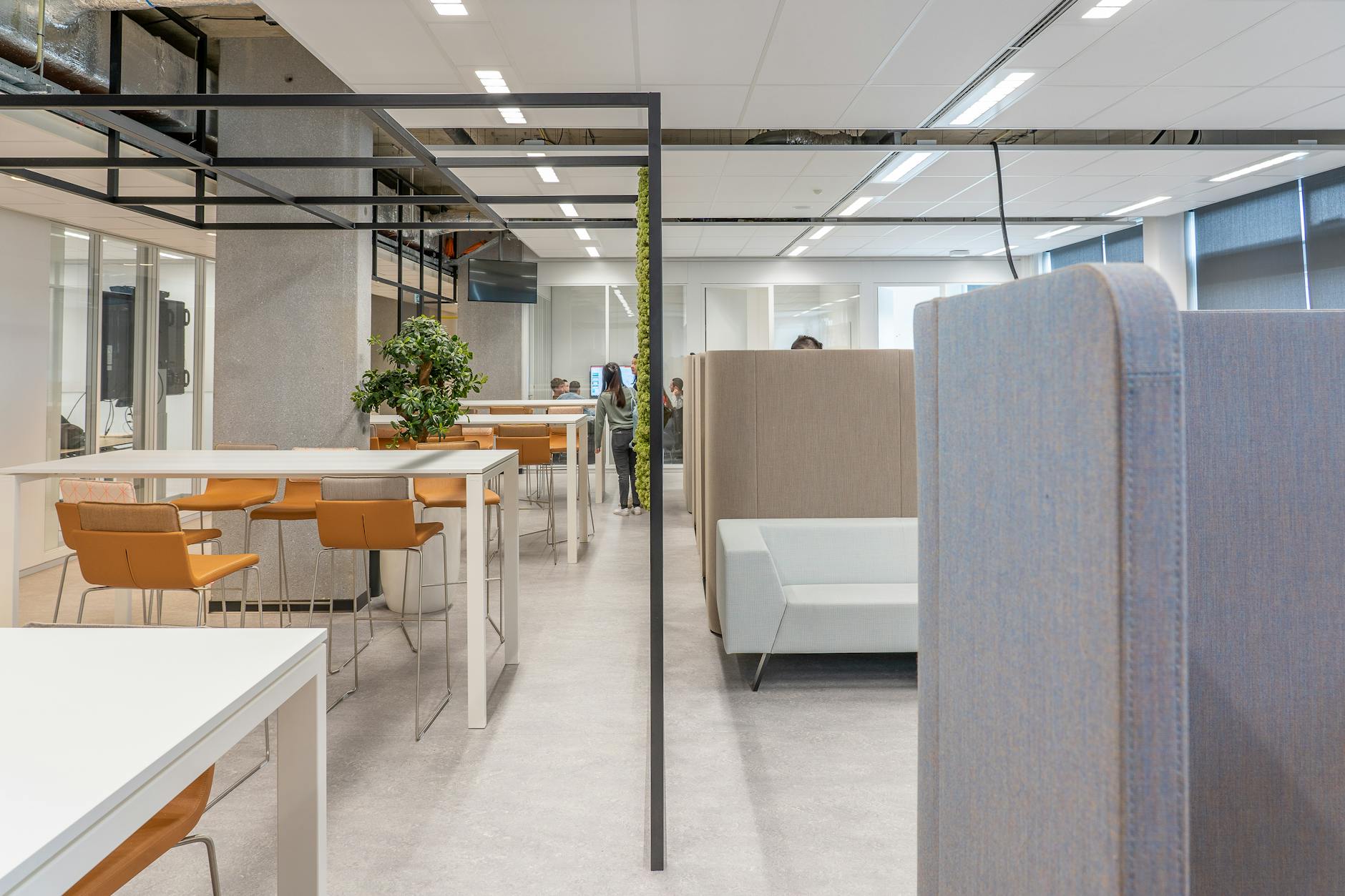 functional serene workspace