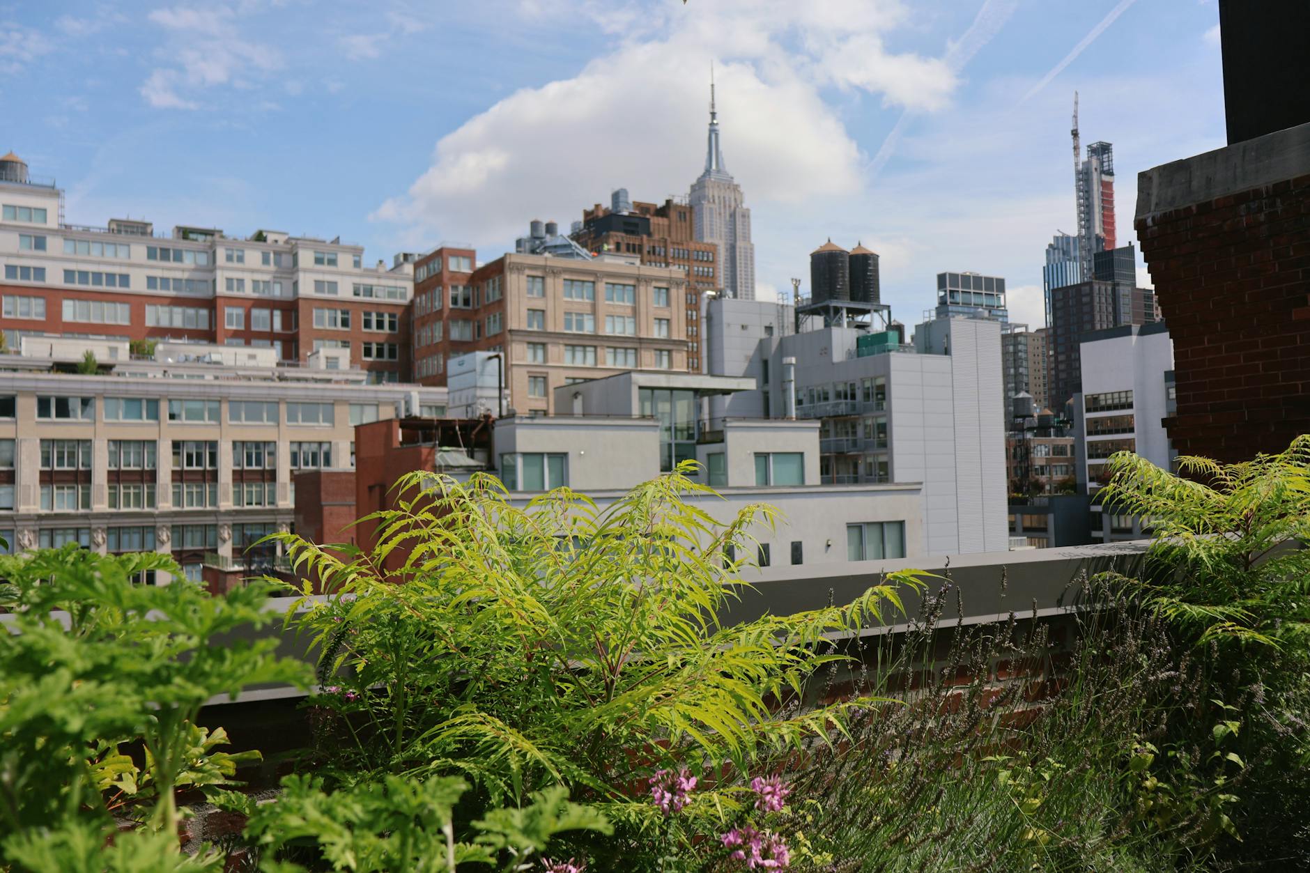 rooftop garden city skyline
