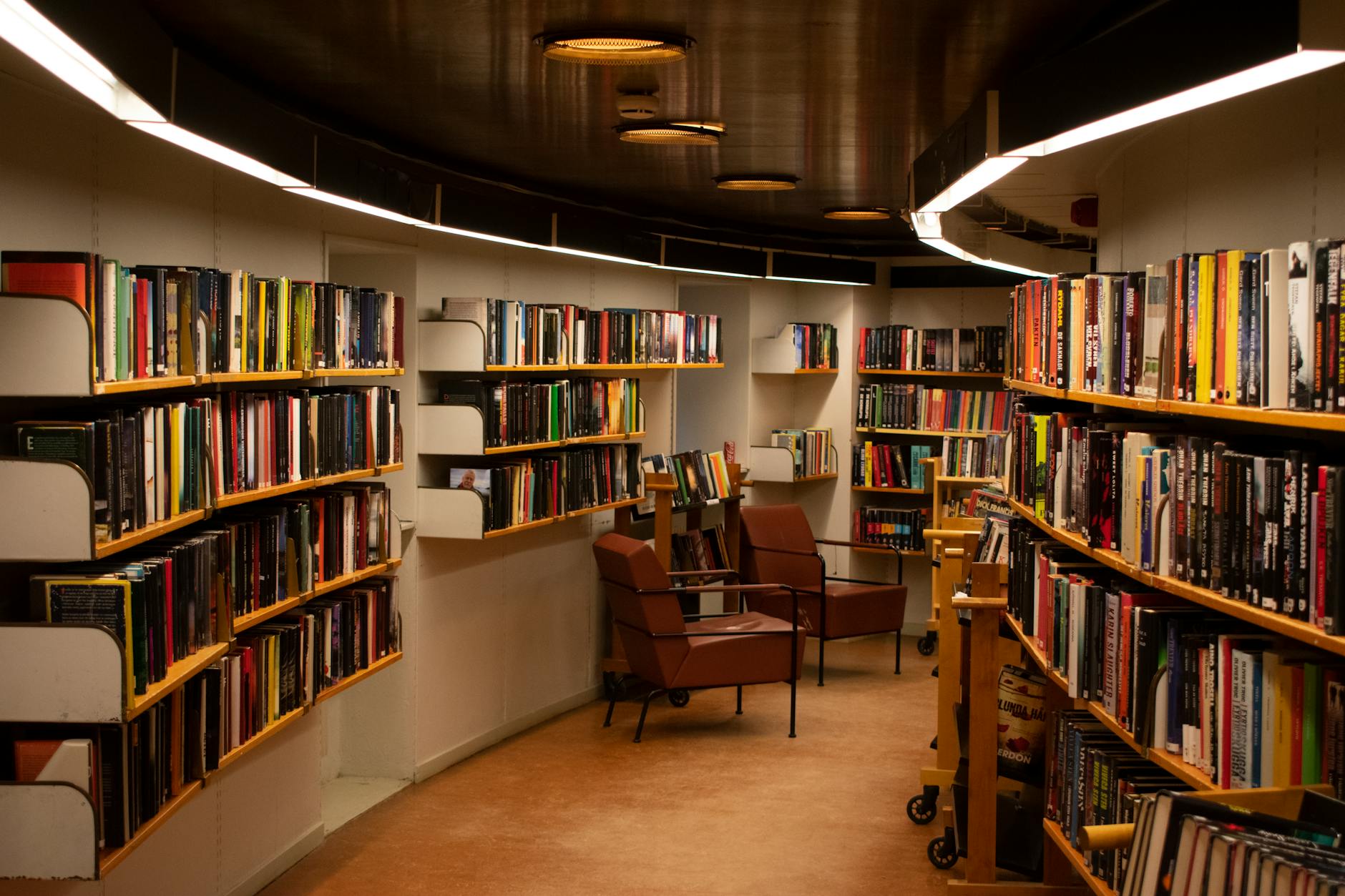 Picturesque library interior with wooden shelves and cozy reading nooks