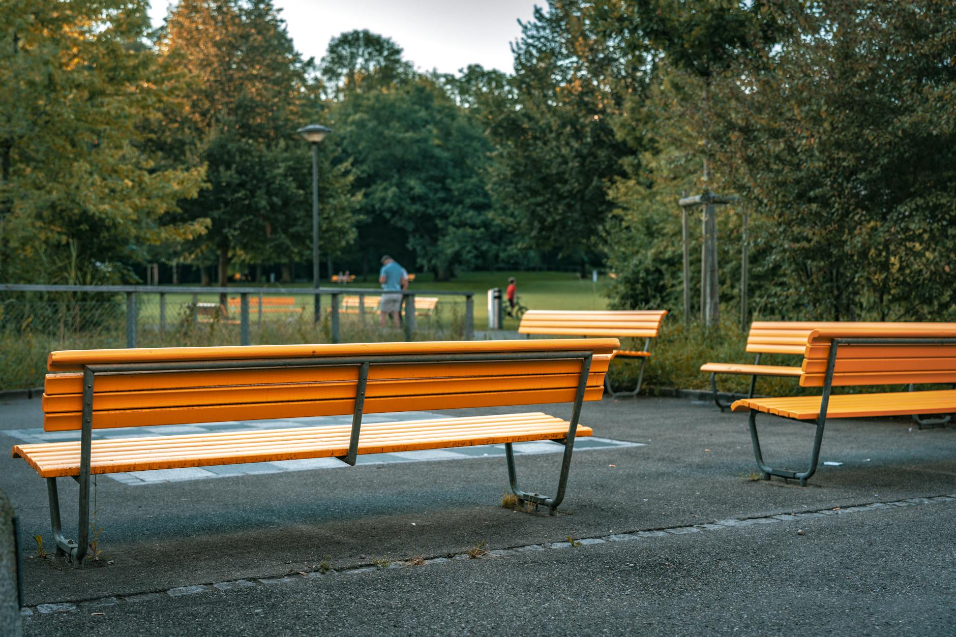 people enjoying quiet moments in a hidden city park, benches surrounded by trees