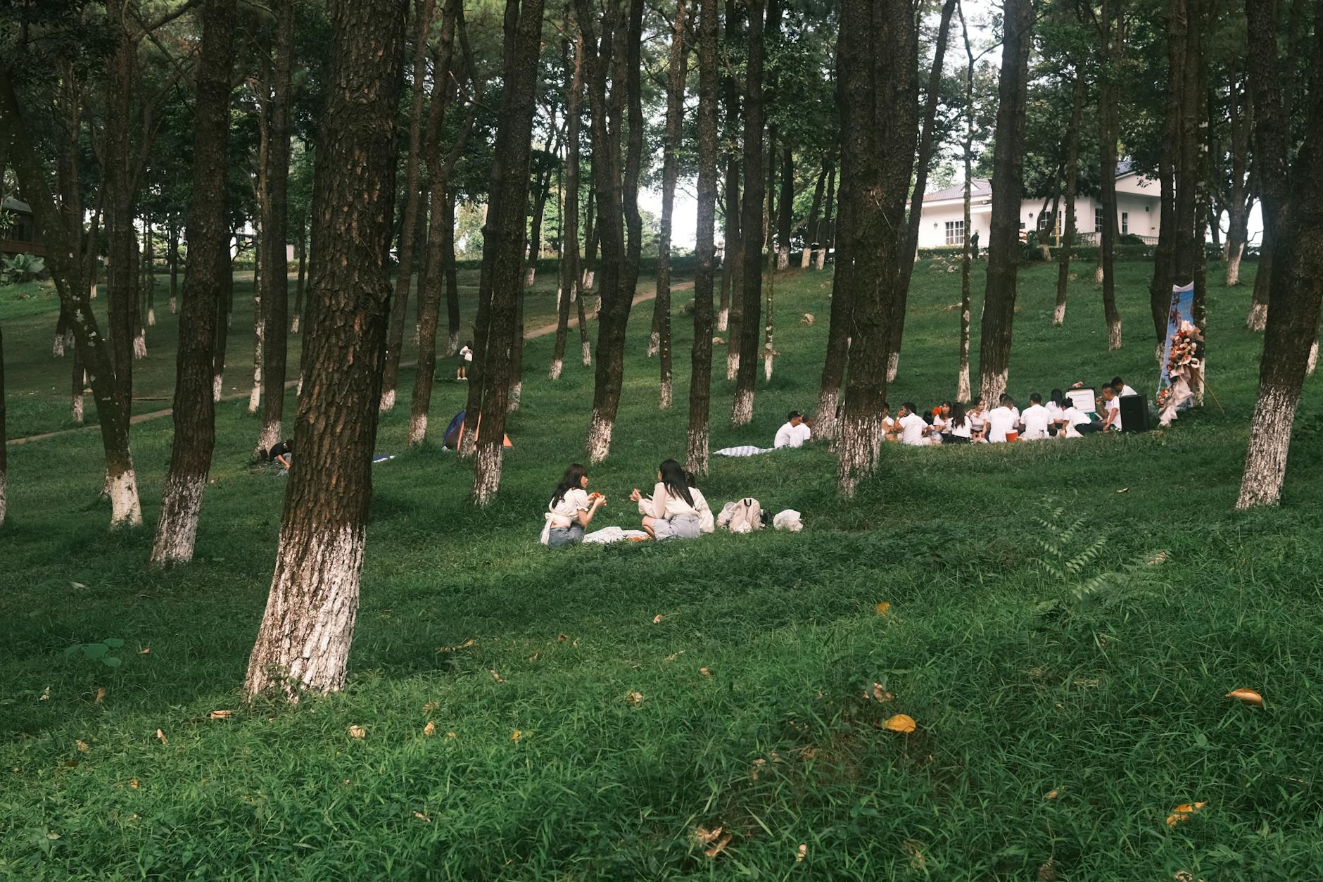 a community gathering in a quiet park, people sitting on blankets with books