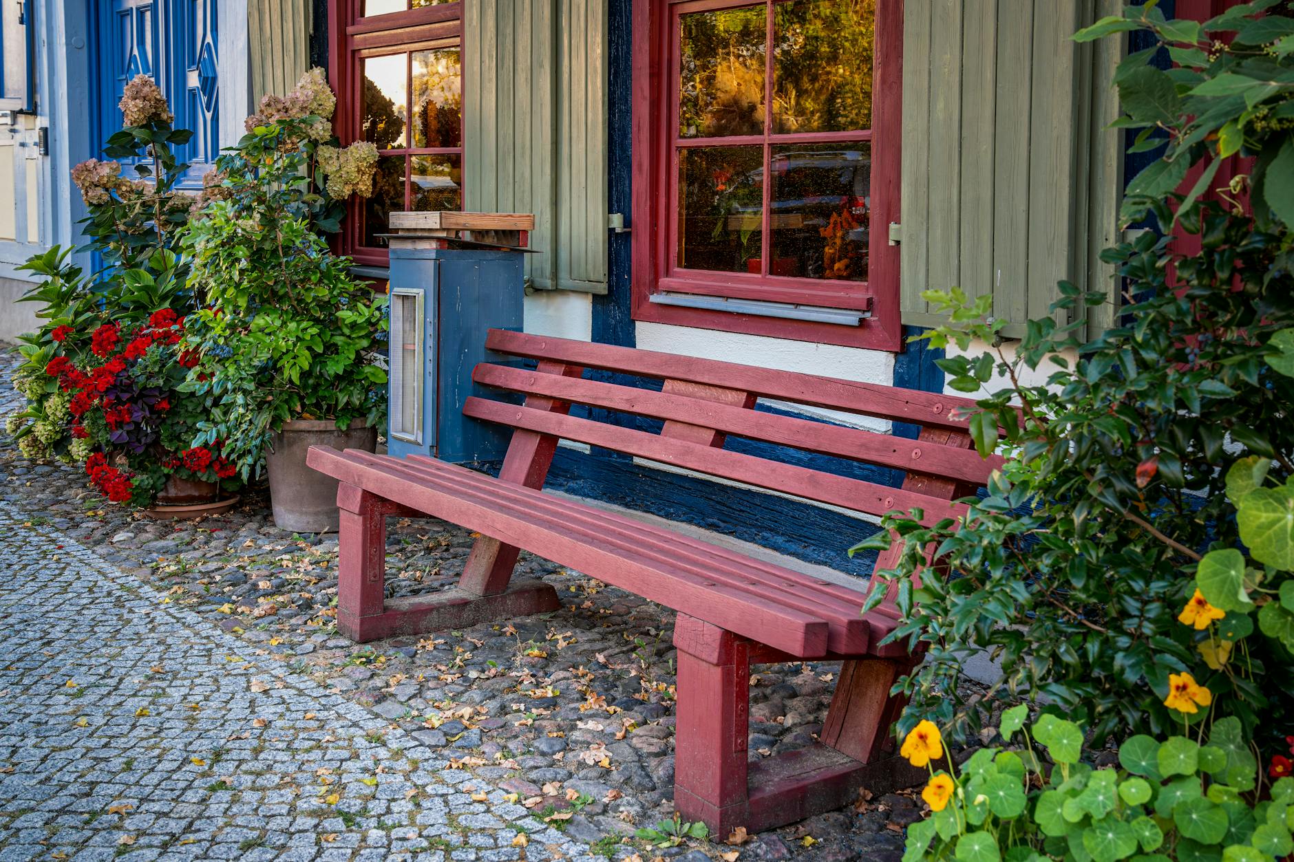 a peaceful city corner with benches and flowers, inviting ambiance