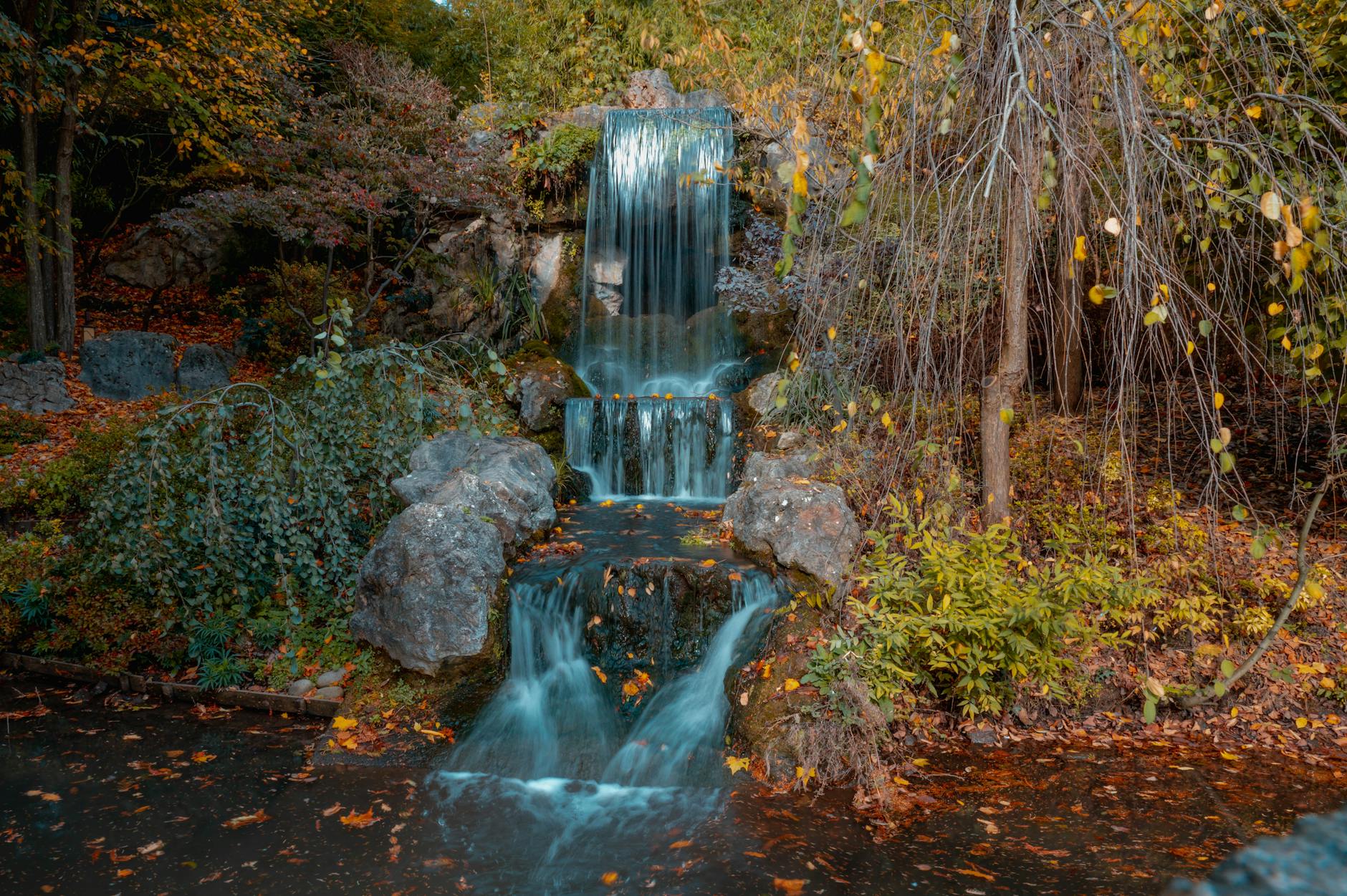 waterfall in a serene forest setting