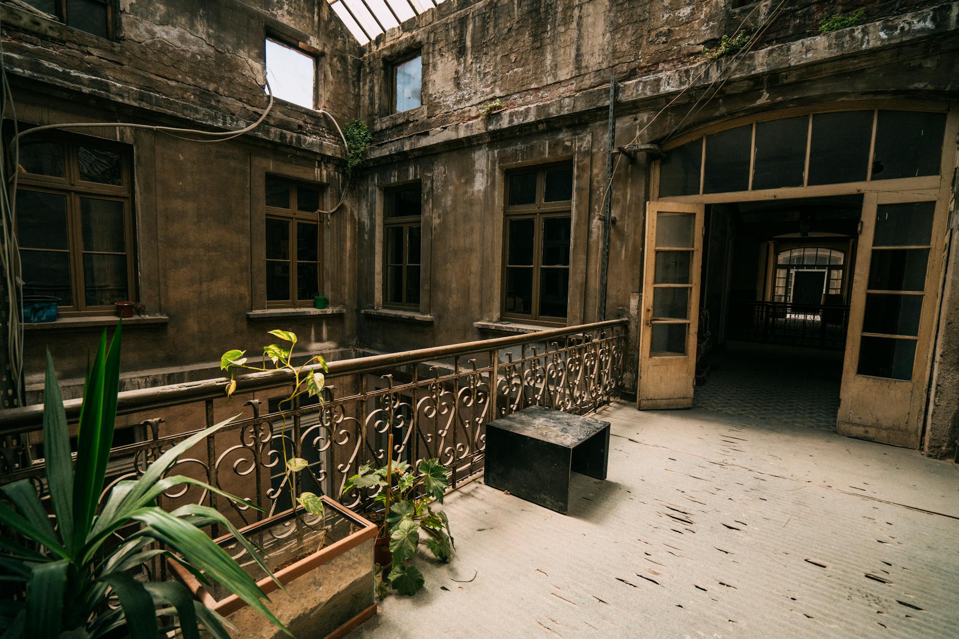 abandoned historical estate overgrown with nature