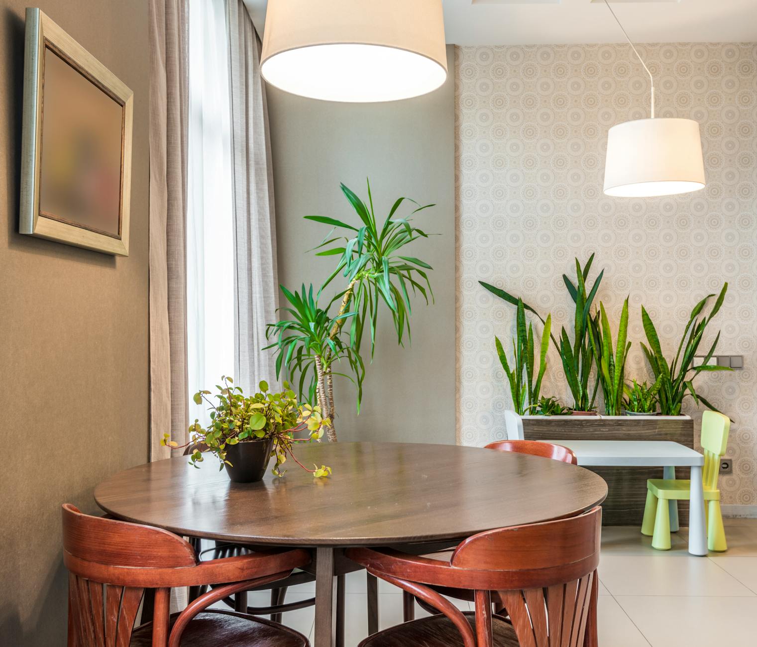 indoor plant arrangement living room