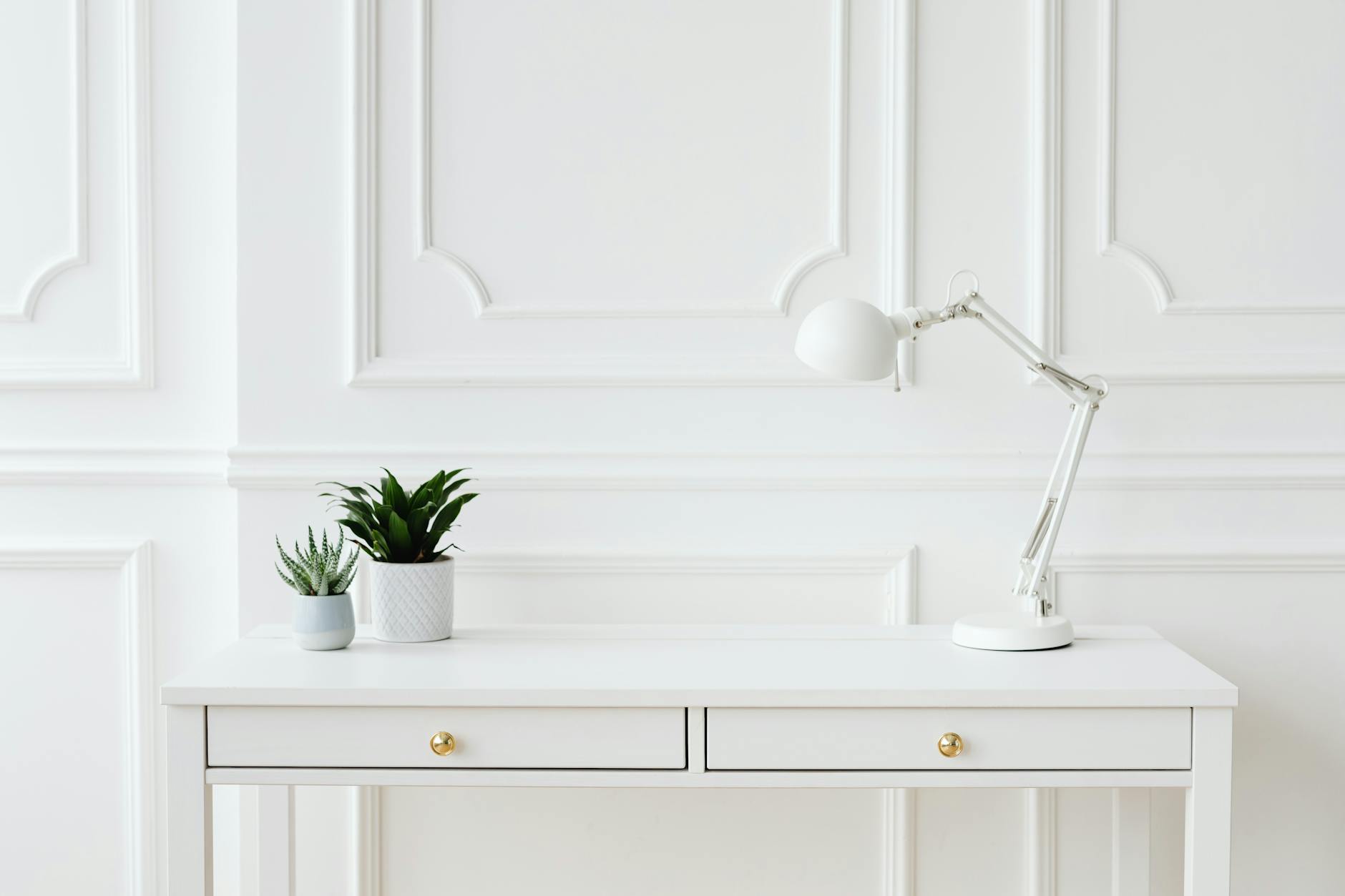 organized home office with plants and minimal clutter