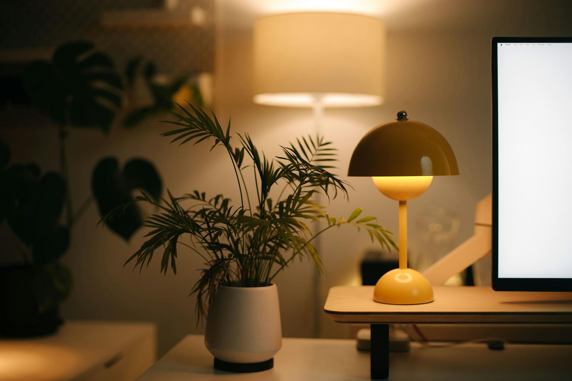 cozy home interior with plants and soft lighting