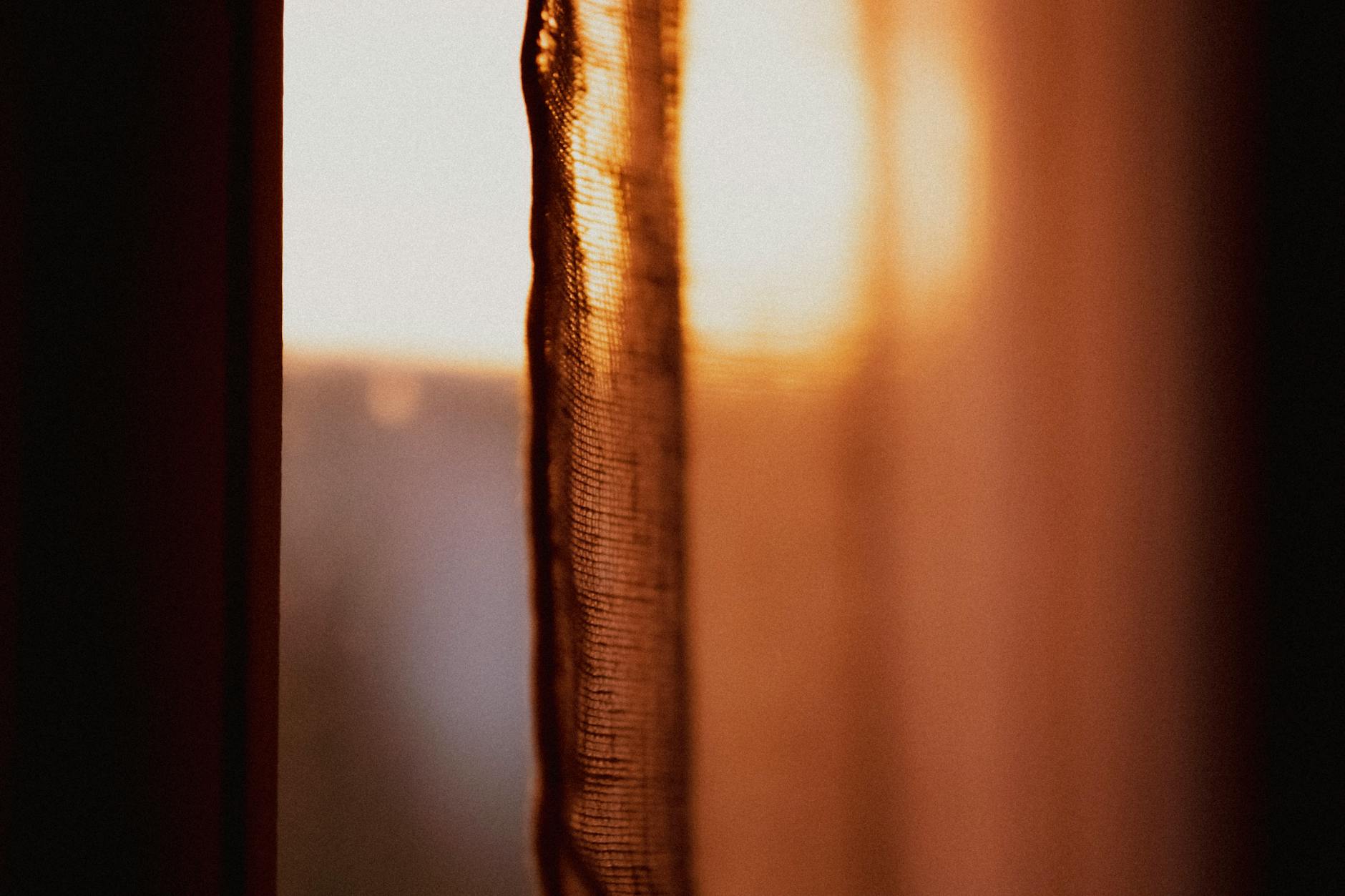close-up of sunrise colors, nature awakening, morning light
