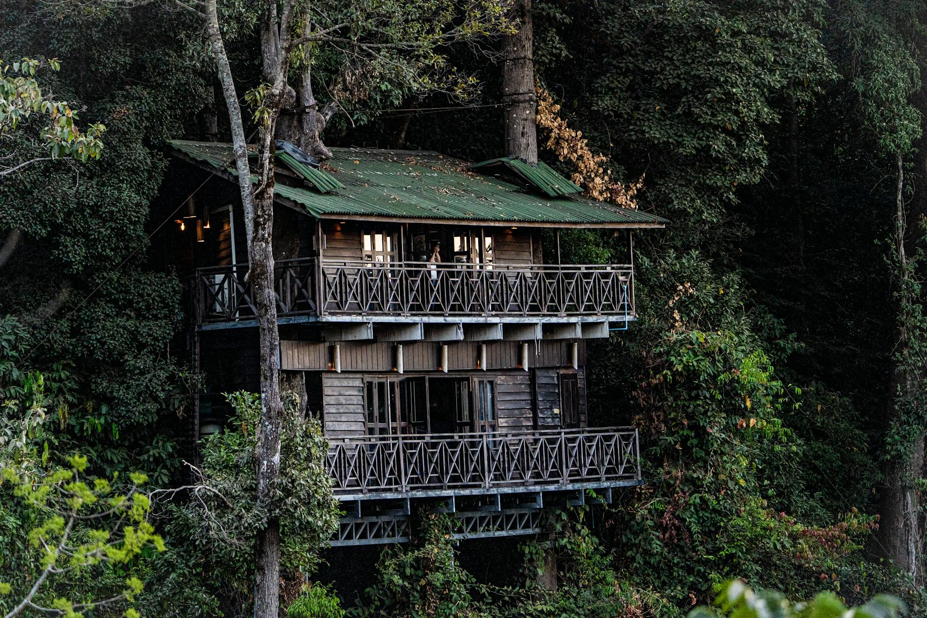 a treehouse village nestled in a forest greenery