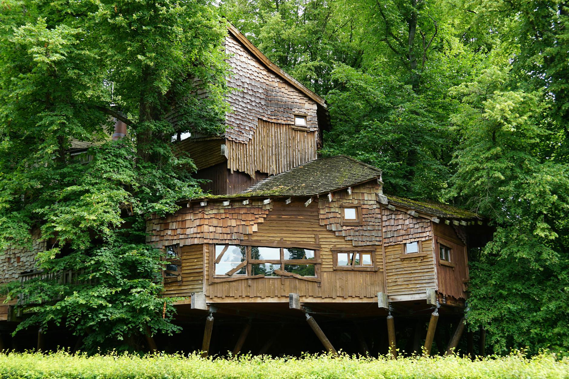 a peaceful treehouse surrounded by nature