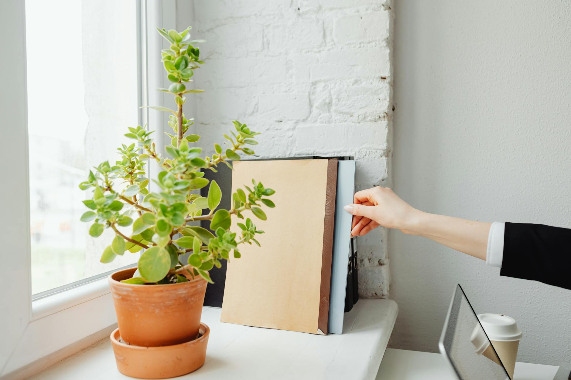 home document organization tips