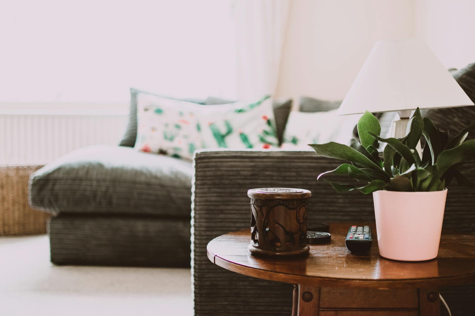 cozy living room with organic textures like wood and plants