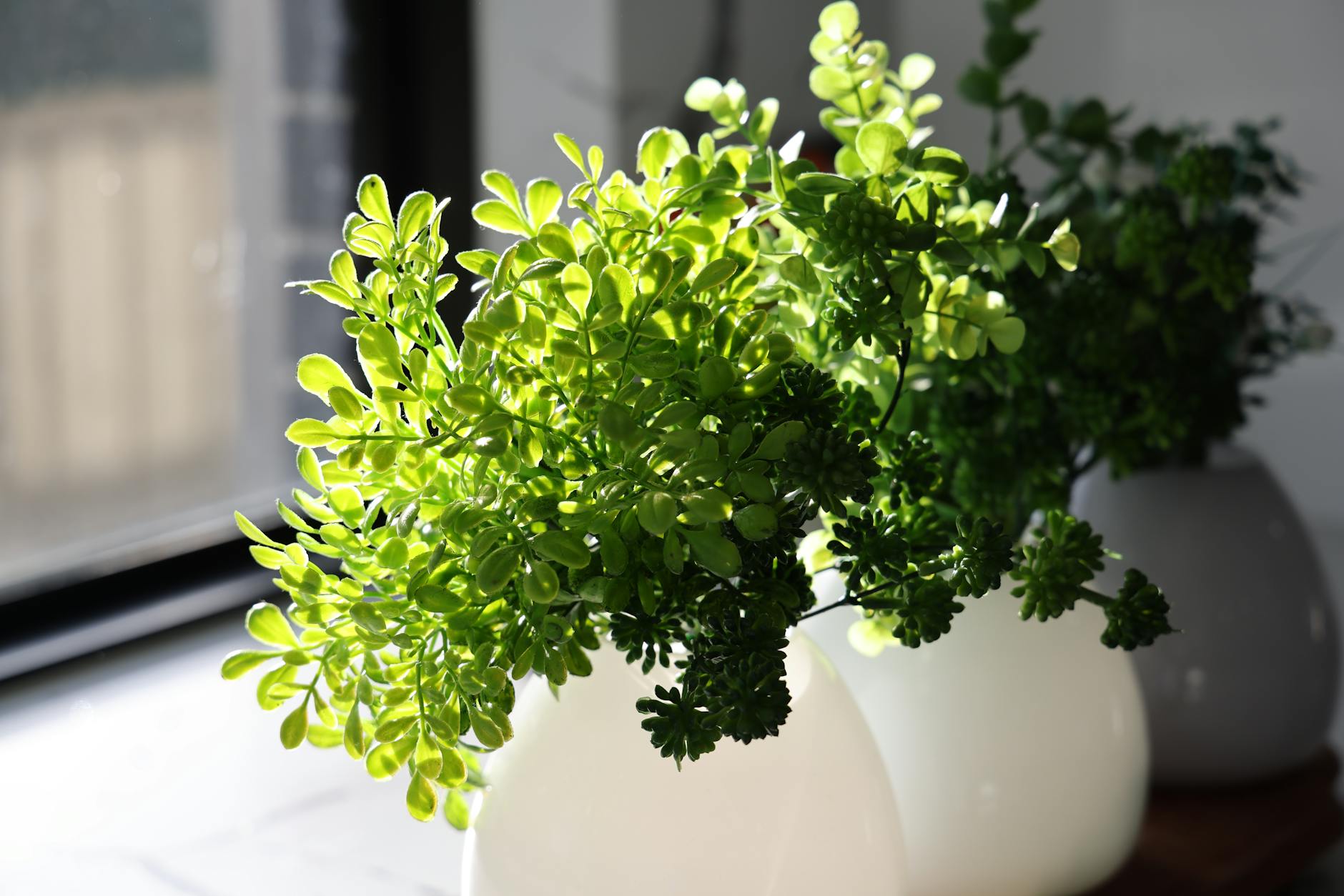 nature-inspired home decor with plants