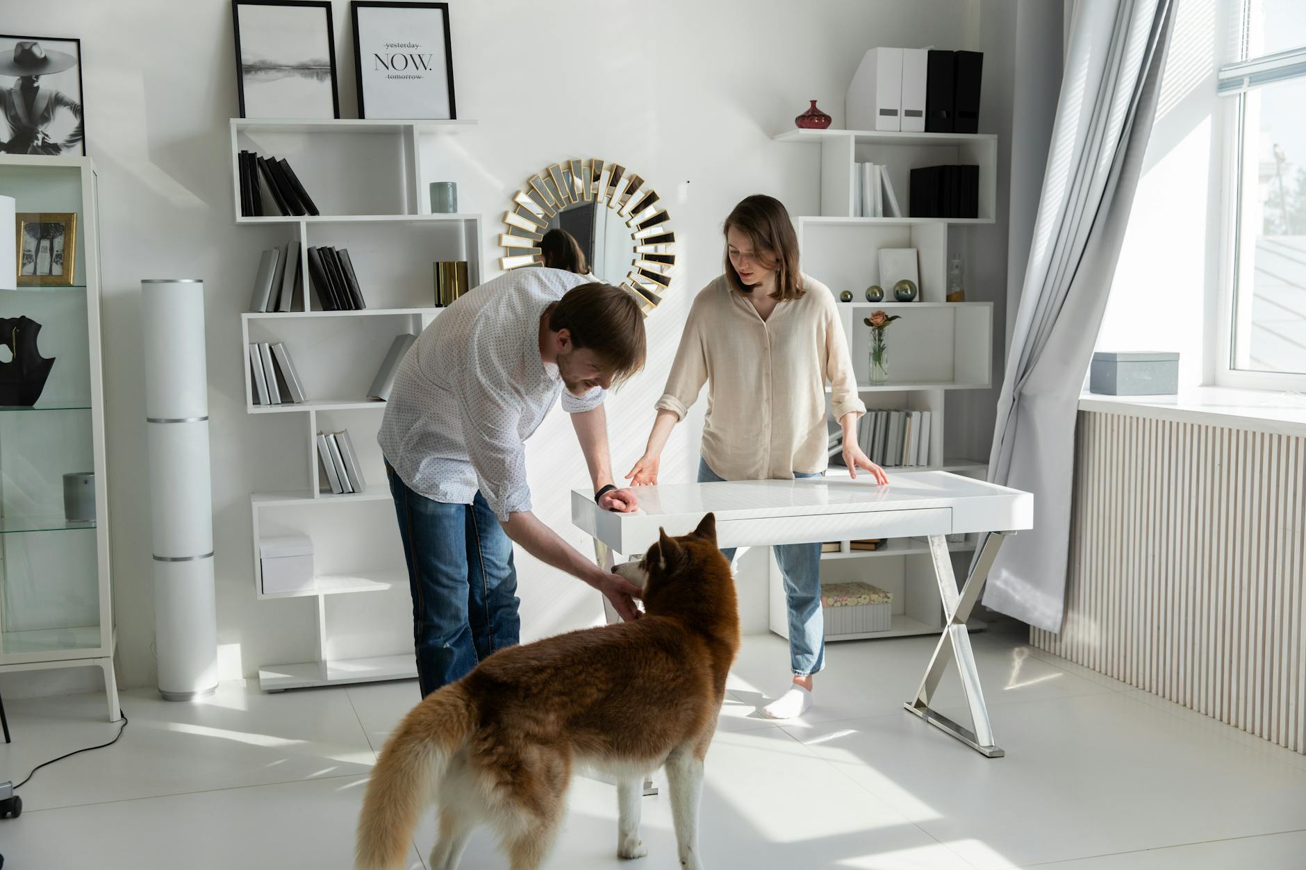 cleaning with pets