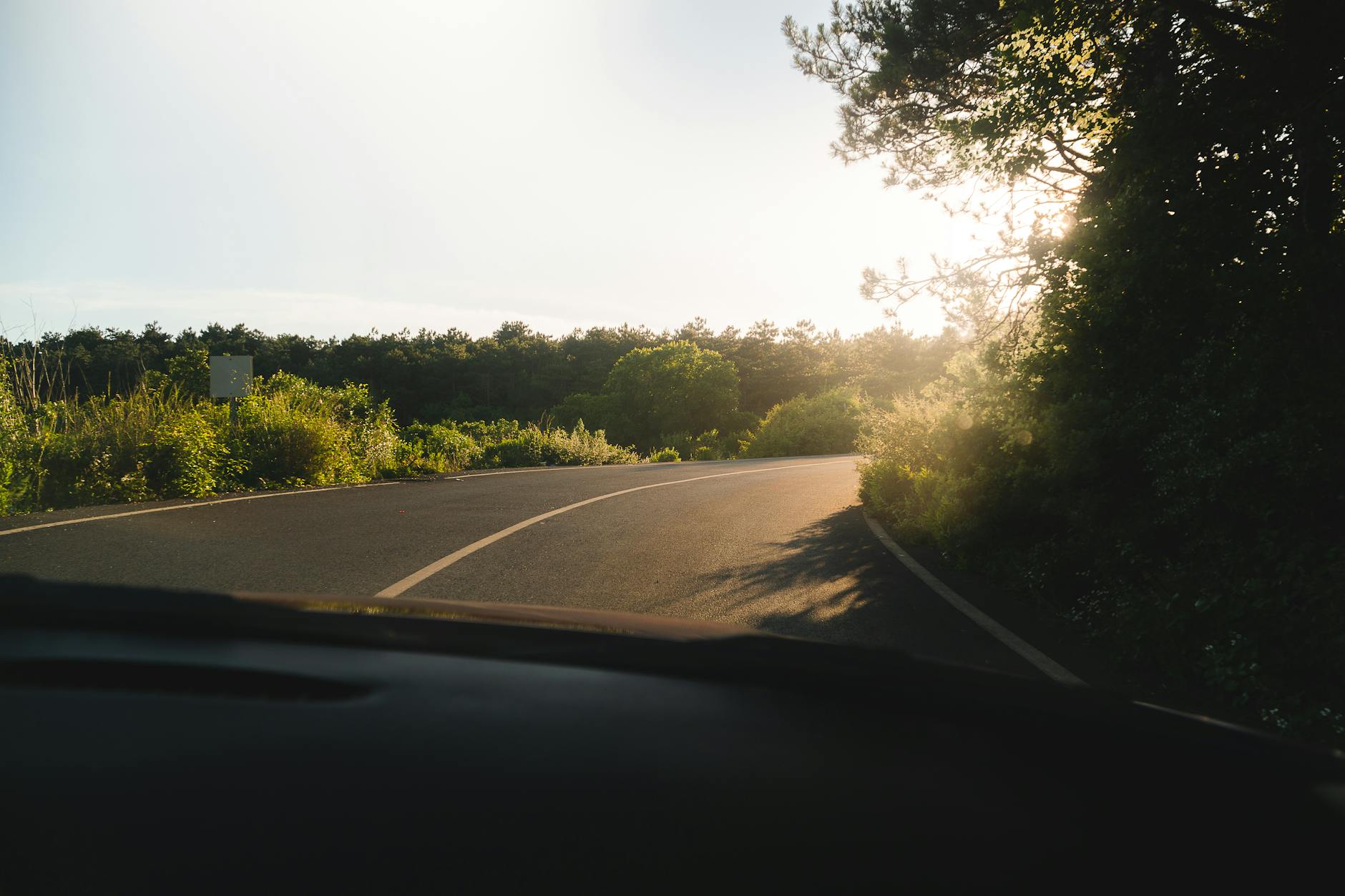 scenic route with trees and sunlight