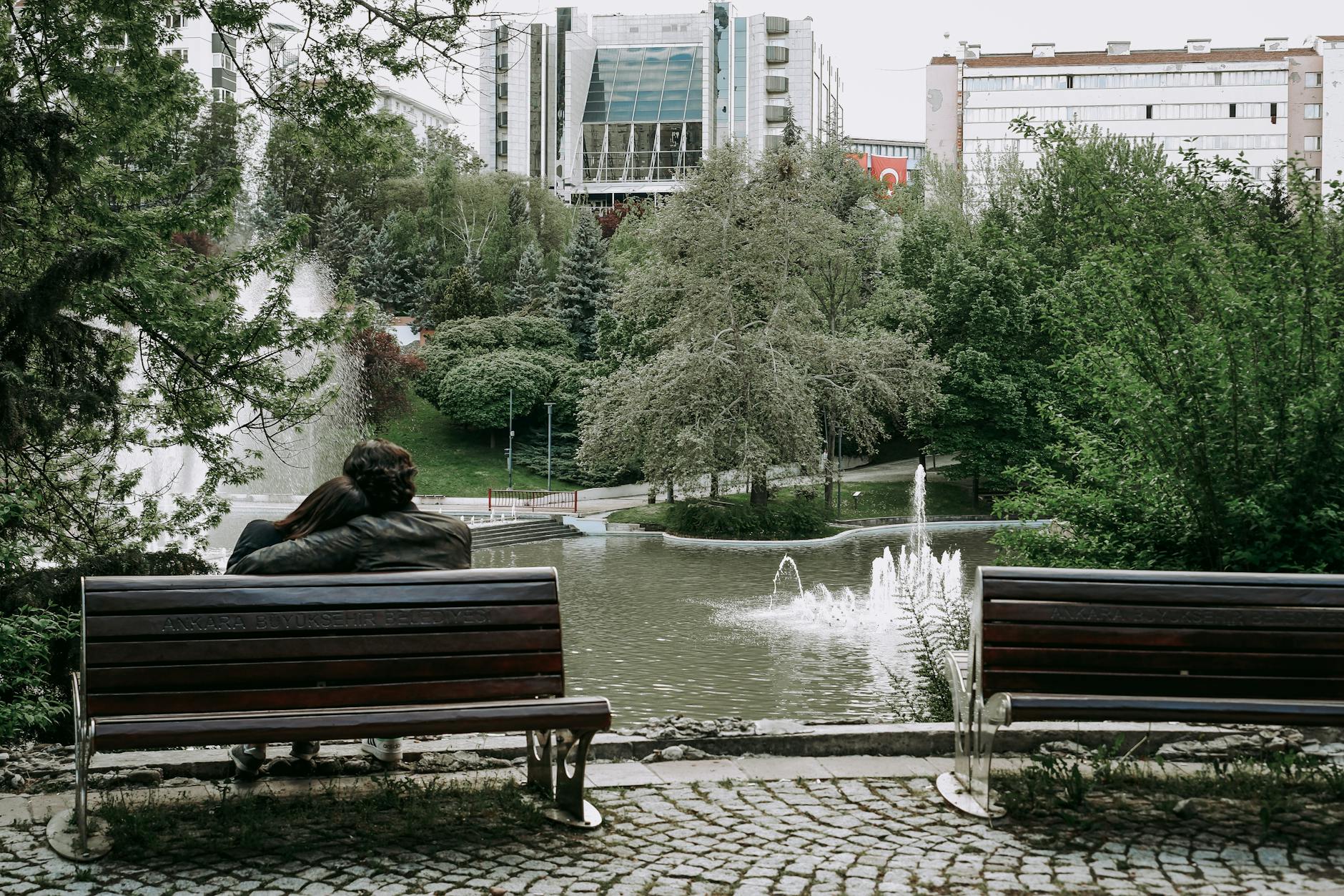 serene park with a pond and benches