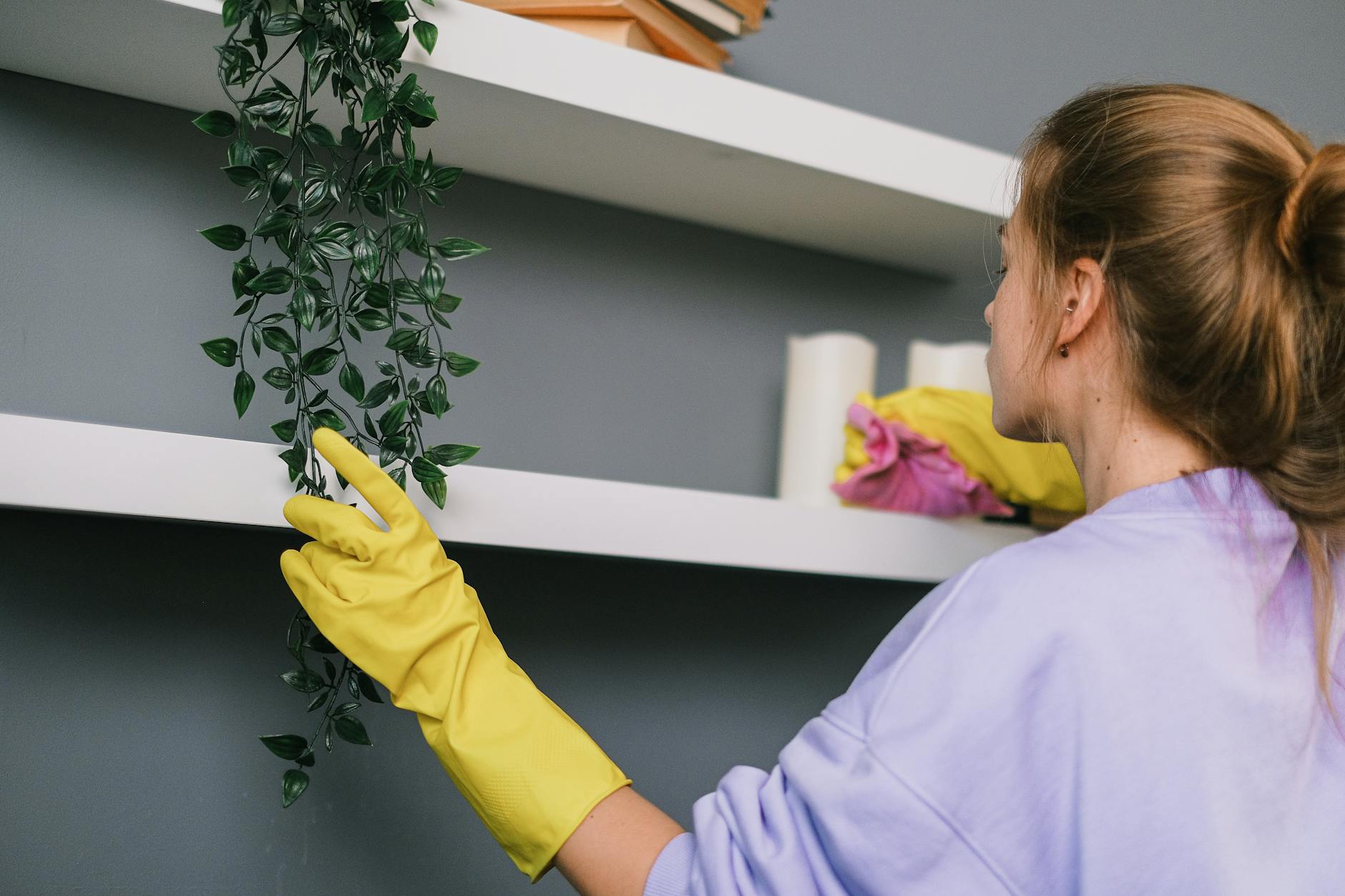 clean home with organized cleaning supplies