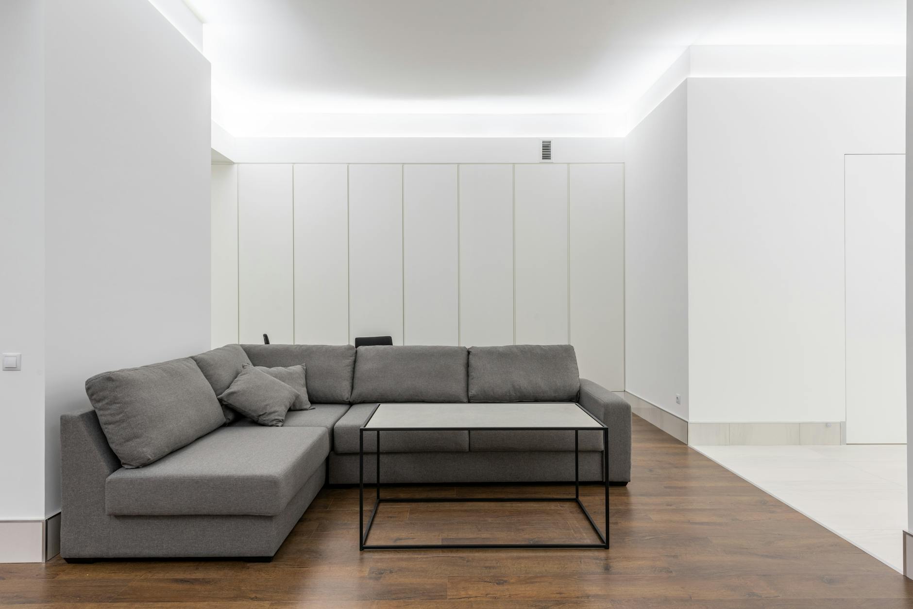 minimalist modern furniture in elegant living room