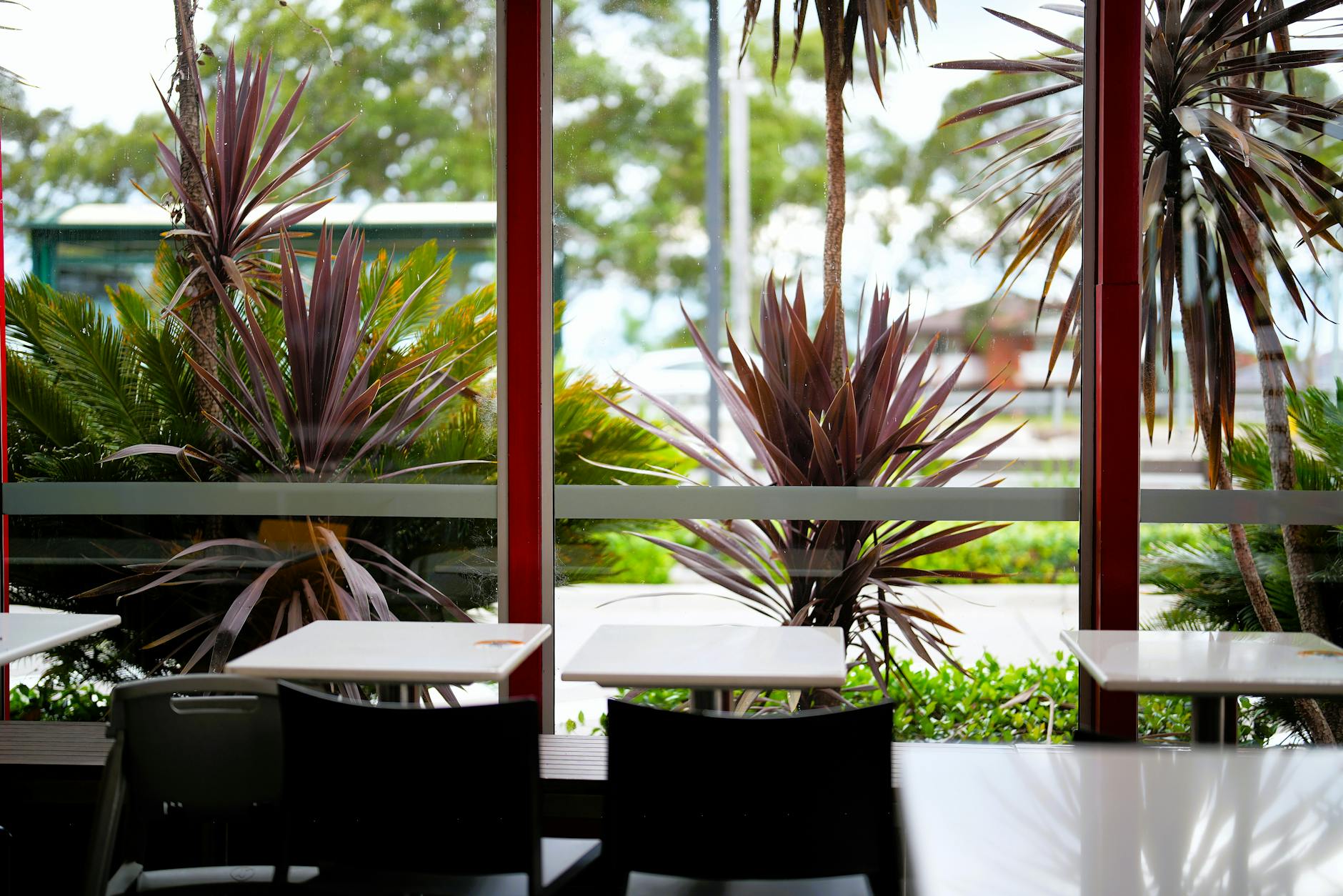 urban noise reduction landscaping