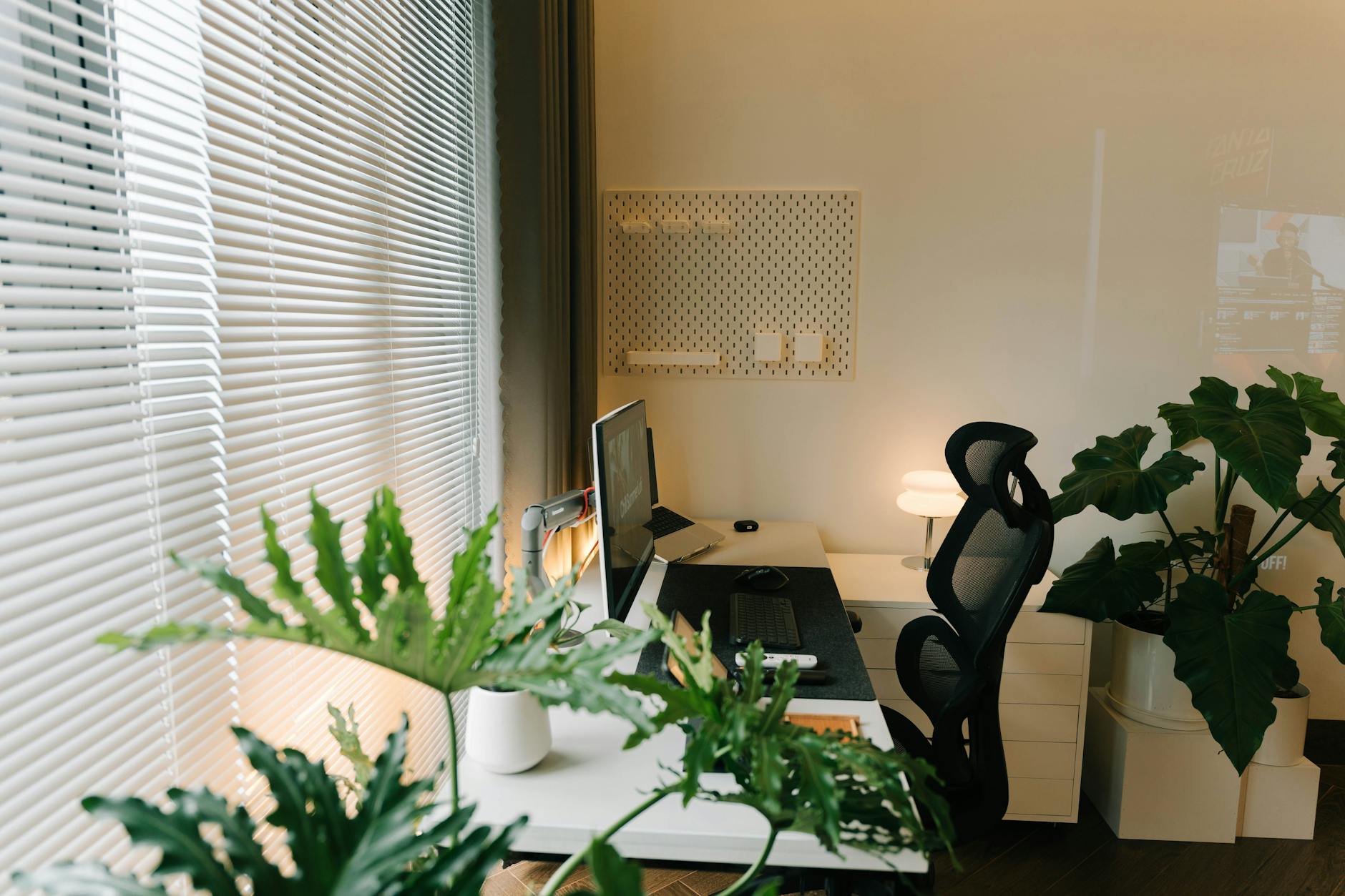 organized workspace with plants